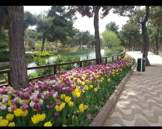 Dülük Baba Forest — Gaziantep — küçük resim 6