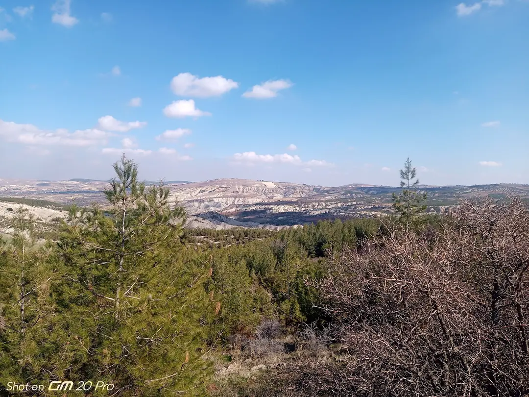 Burç Ormanı — Gaziantep — küçük resim 2
