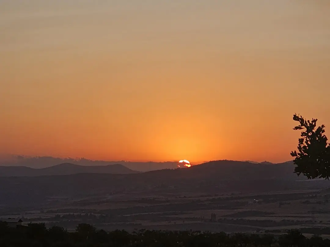 Burç Ormanı — Gaziantep — küçük resim 7