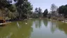 Kapıçam Tabiat Parkı