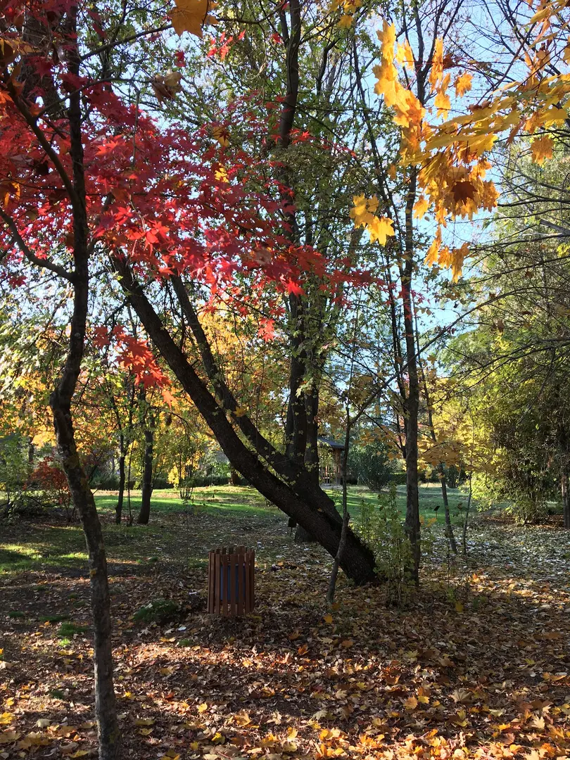 Kapıçam Nature Park — Kahramanmaraş — küçük resim 10