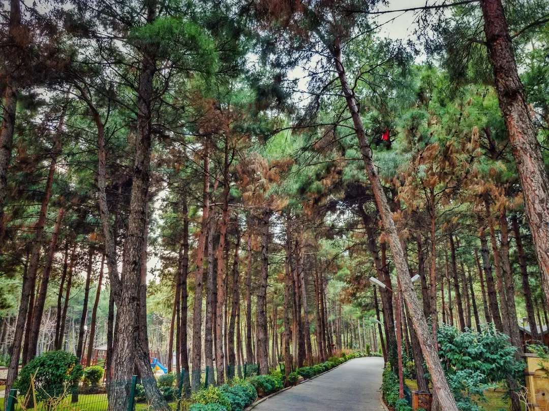 Kahramanmaraş Merkez