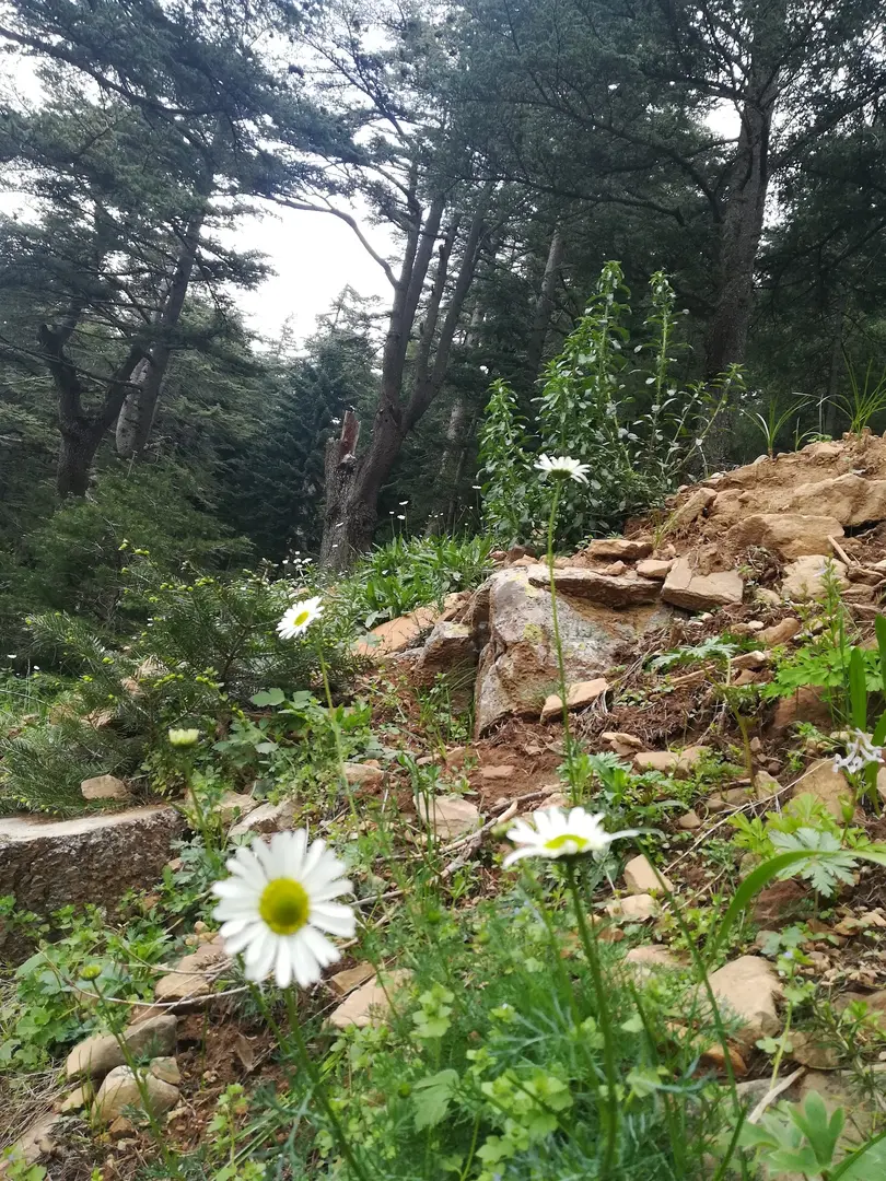 Yavşan Plateau Nature Park — Kahramanmaraş — küçük resim 8