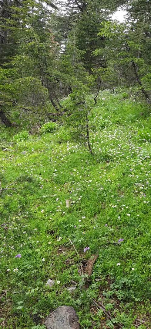 Yavşan Plateau Nature Park — Kahramanmaraş — küçük resim 7