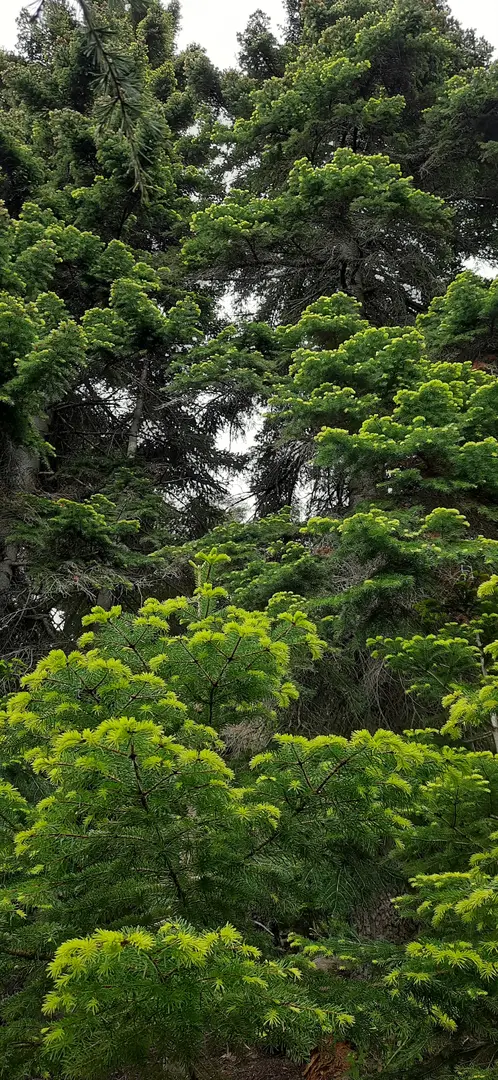 Yavşan Plateau Nature Park — Kahramanmaraş — küçük resim 3