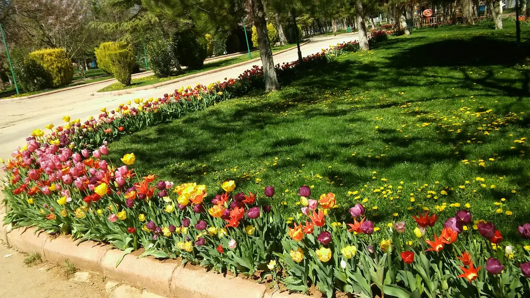 Çamlık Park — Kahramanmaraş — küçük resim 3