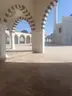 Çamlık Parkı