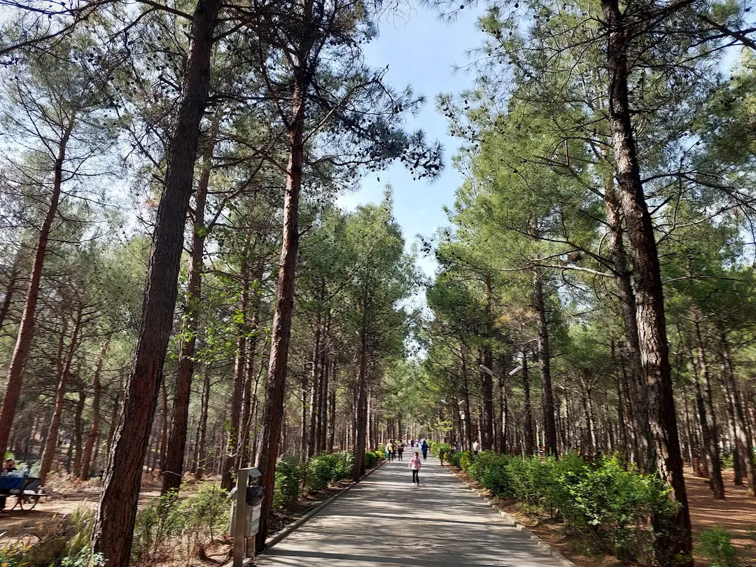 Arslanbey Parkı