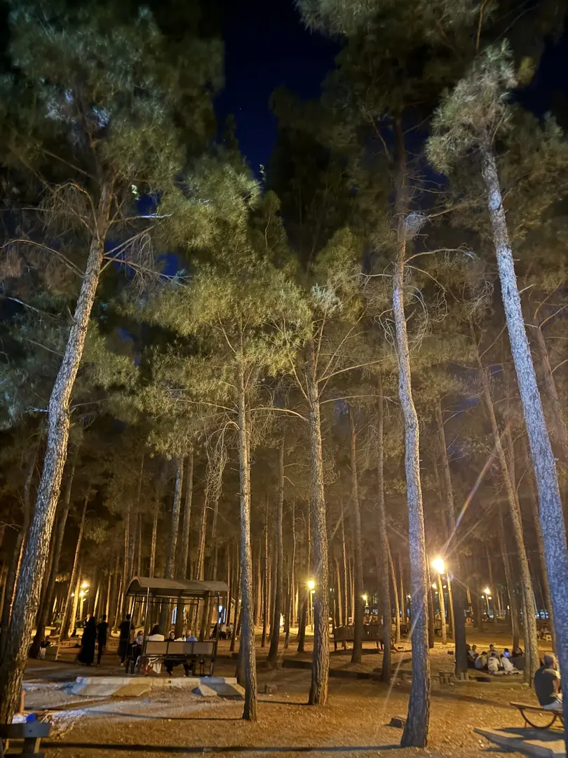 Arslanbey Parkı — Kahramanmaraş — küçük resim 6