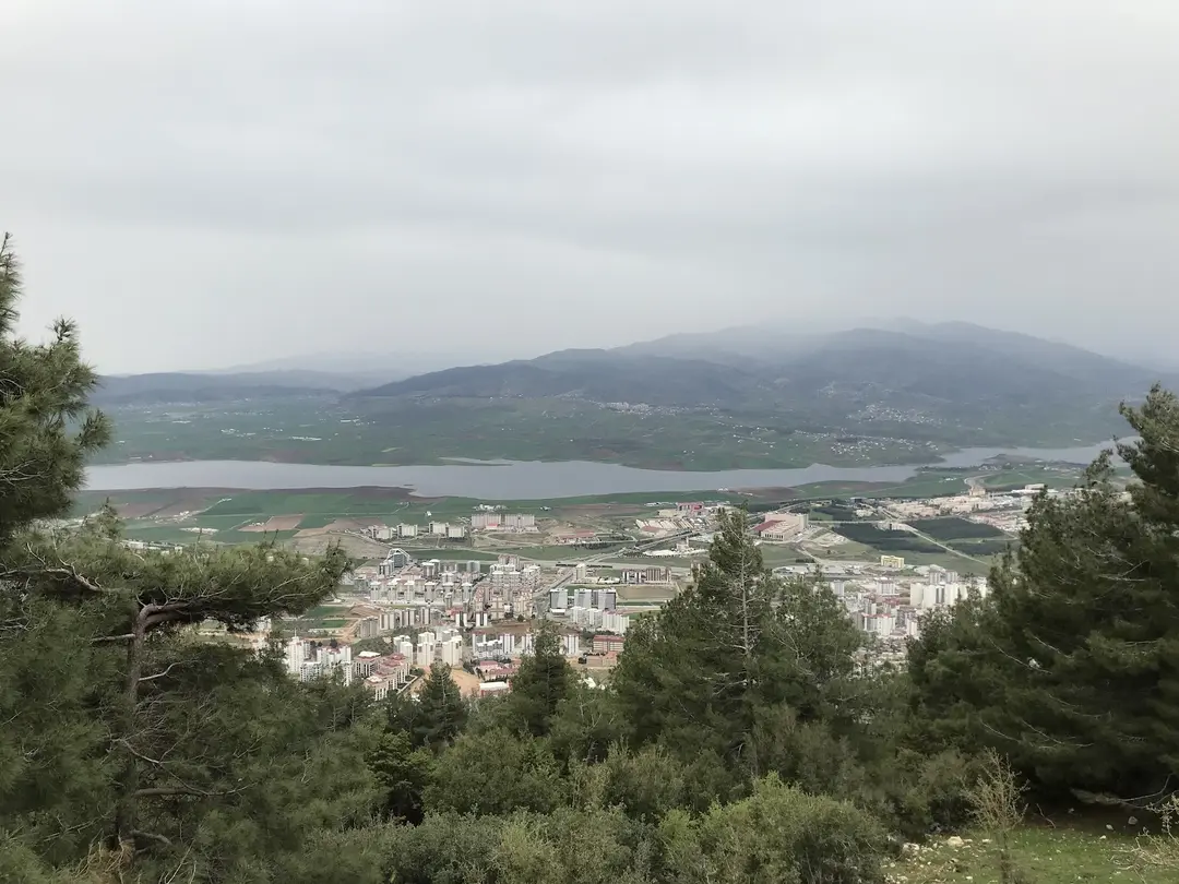 Sarıcukur Ormanlık Alanı