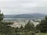 Sarıcukur Ormanlık Alanı