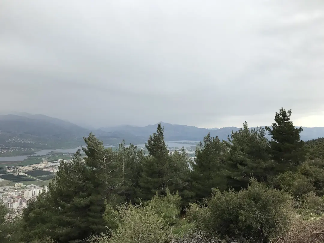 Sarıkukur Forest Area — Kahramanmaraş — küçük resim 7