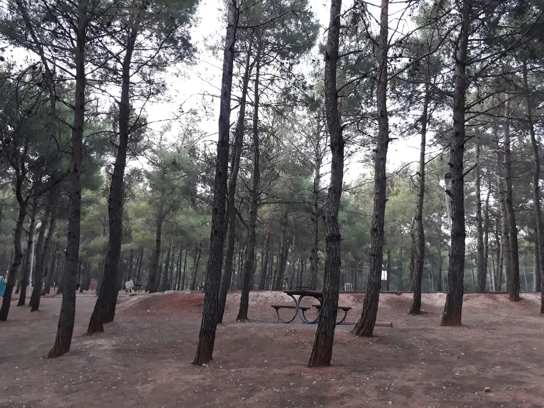 Forest Area — Kahramanmaraş — küçük resim 4