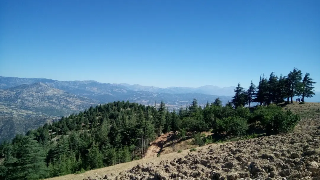 Forest Area — Kahramanmaraş — küçük resim 9