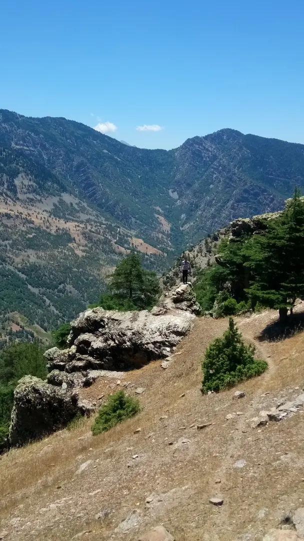 Forest Area — Kahramanmaraş — küçük resim 3