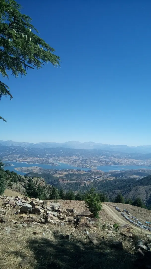 Forest Area — Kahramanmaraş — küçük resim 7