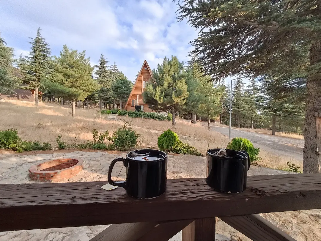 Yalnıza Ardıç Bungalov Evleri Millet Bahçesi — Kahramanmaraş — küçük resim 6