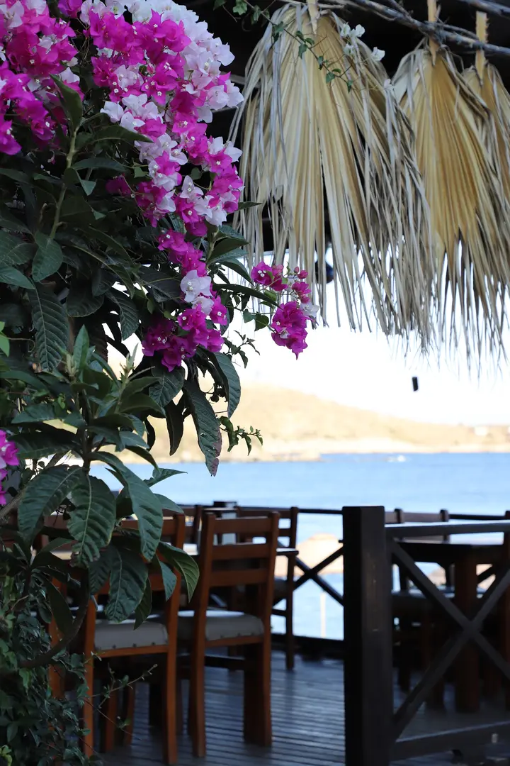 Mavi Yeşil Bungalow y Restaurante — Muğla — küçük resim 6
