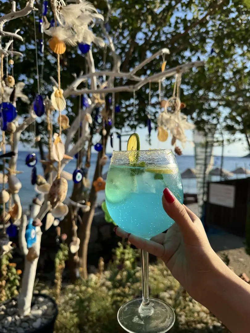 Mavi Yeşil Bungalow y Restaurante — Muğla — küçük resim 8