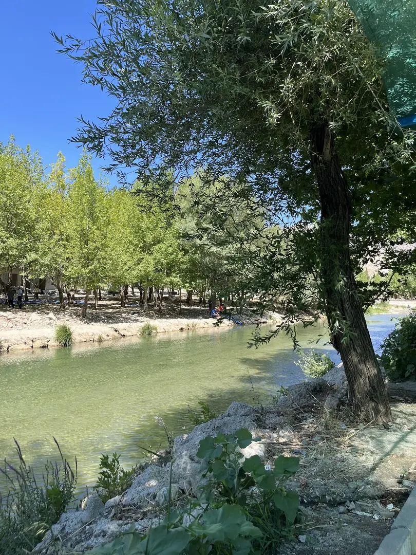 Düzbağ Bungalov Evleri & Restaurant — Kahramanmaraş — küçük resim 6