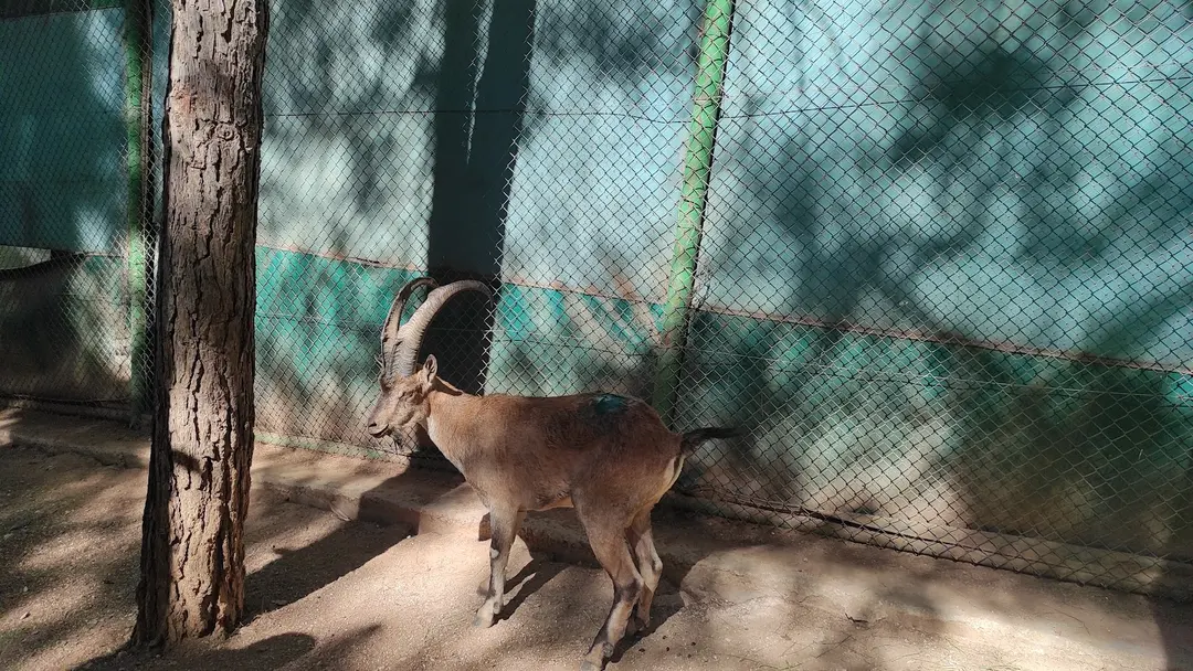 Gölpınar Nature Park — Şanlıurfa — küçük resim 8