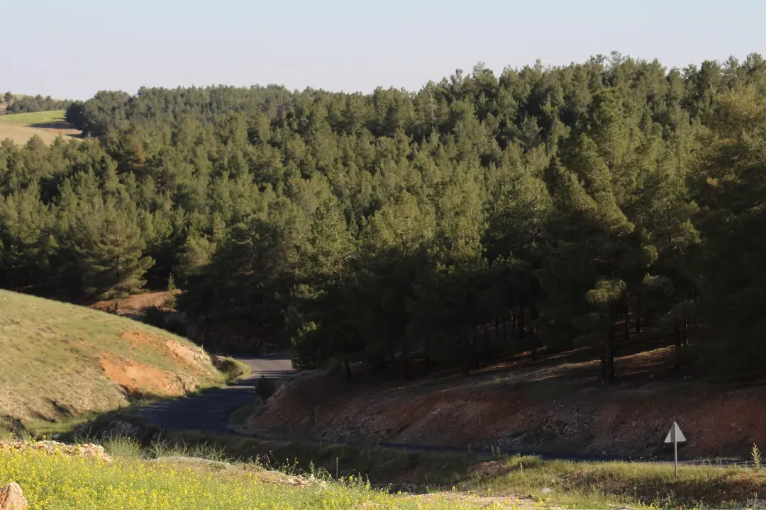 Gölpınar Nature Park — Şanlıurfa — küçük resim 6