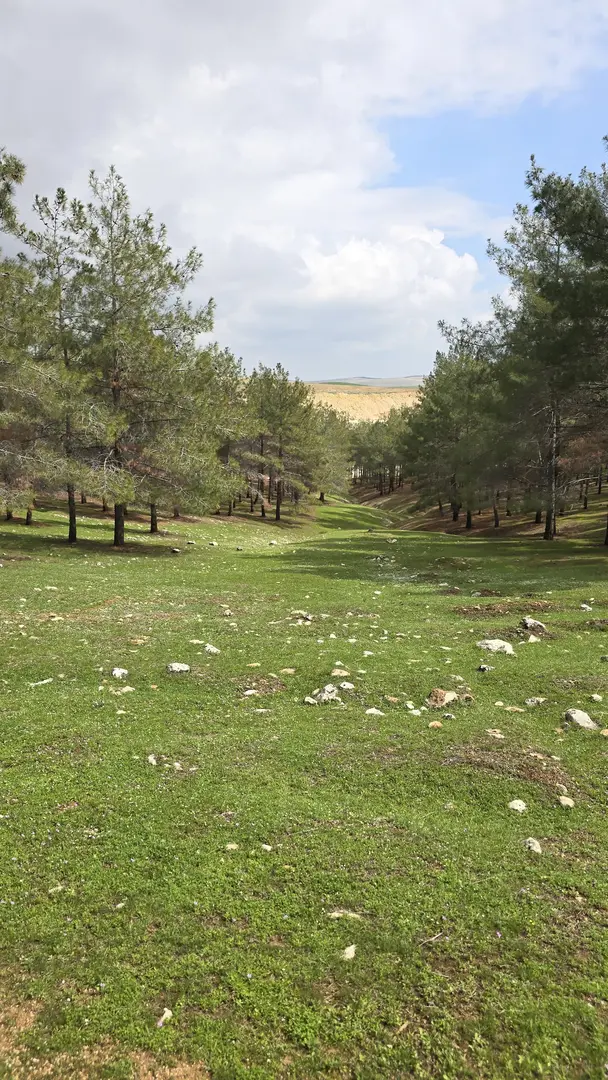 Gölpınar Nature Park — Şanlıurfa — küçük resim 7
