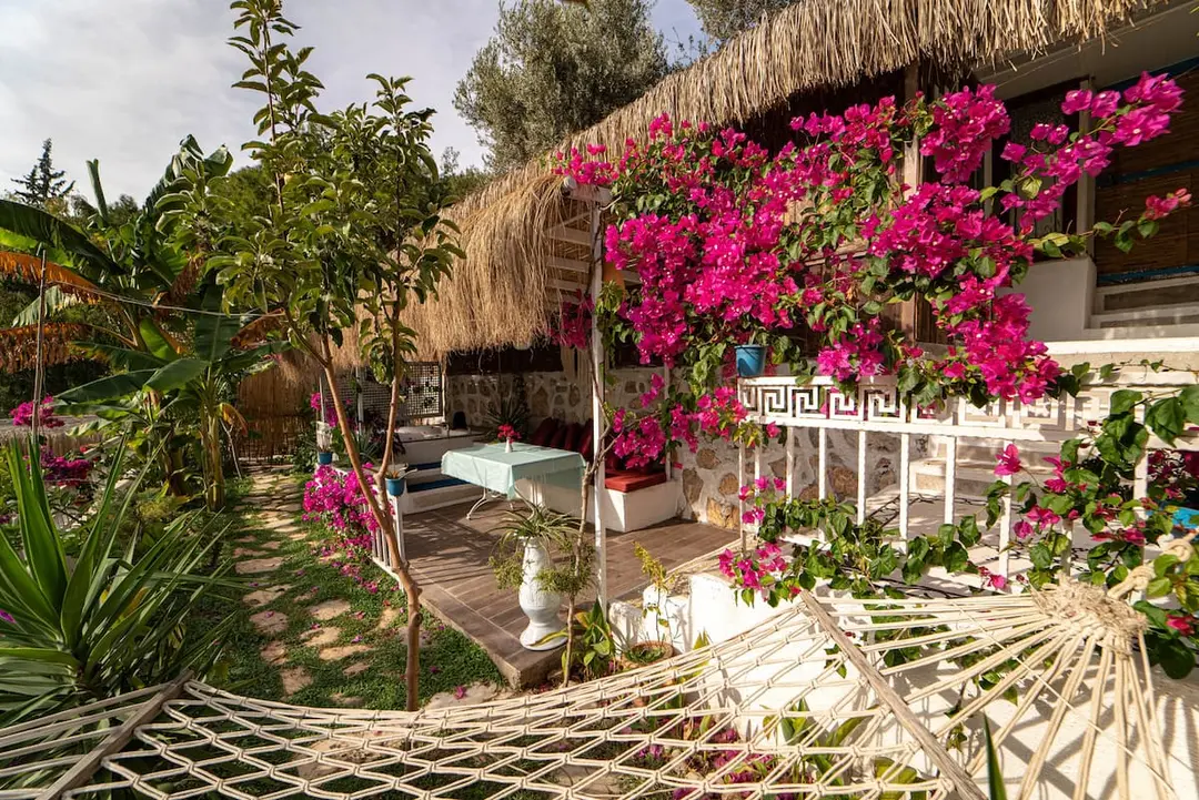 Begonvilla Bungalows — Muğla — küçük resim 2