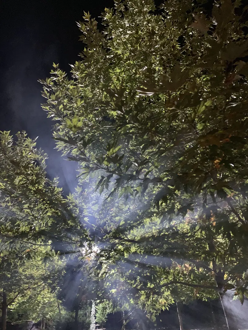 Karaköprü Mesire Alanı — Şanlıurfa — küçük resim 8