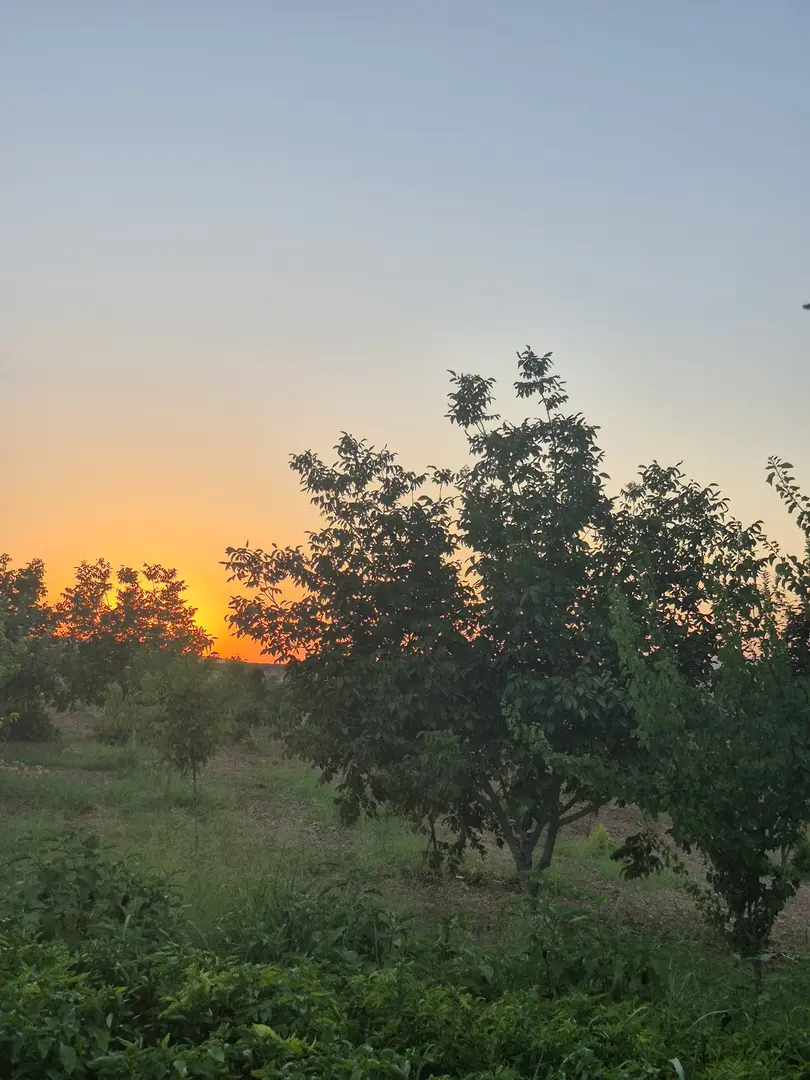 Akbaş Baghus — Şanlıurfa — küçük resim 3