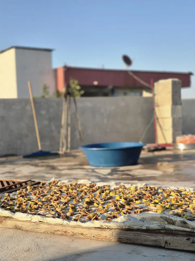 Akbaş Baghus — Şanlıurfa — küçük resim 6