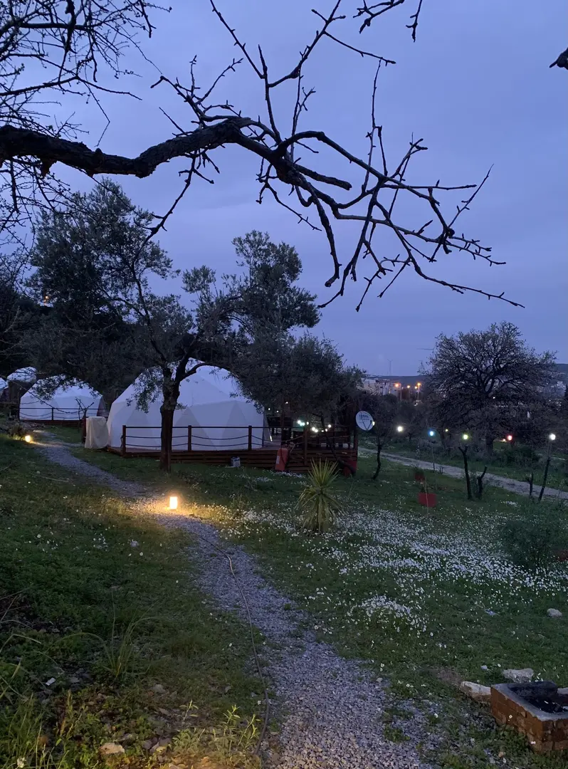 Teos Glamping — İzmir — küçük resim 6