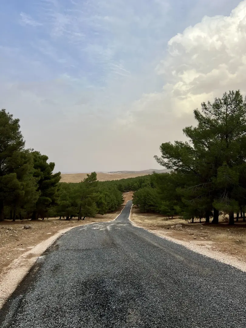 Şanlıurfa Kent Ormanı — Şanlıurfa — küçük resim 6