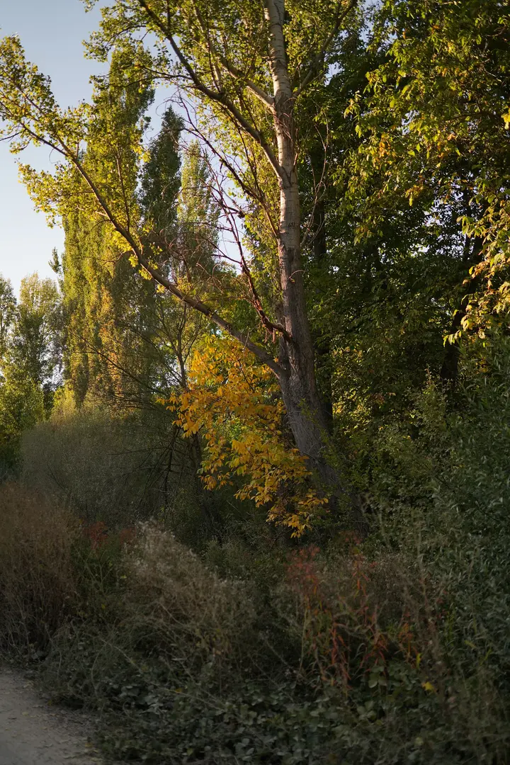 Koramaz Vadisi — Kayseri — küçük resim 7