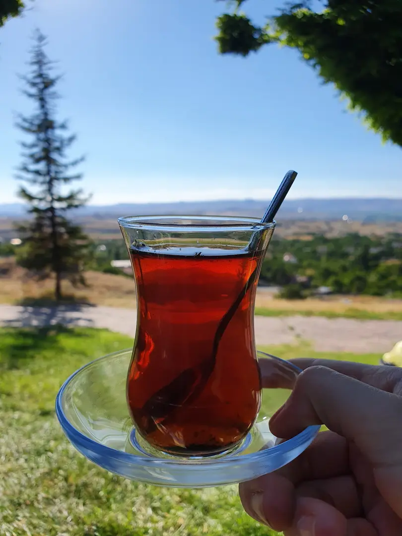 Gesi Mesire Alanı — Kayseri — küçük resim 4