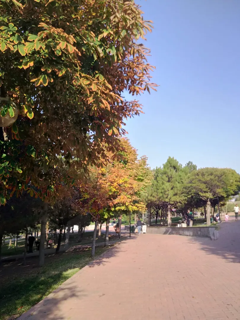 Gesi Mesire Alanı — Kayseri — küçük resim 2