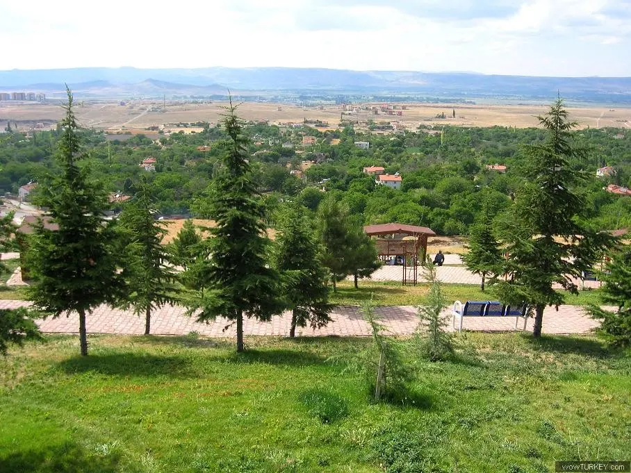 Gesi Mesire Alanı