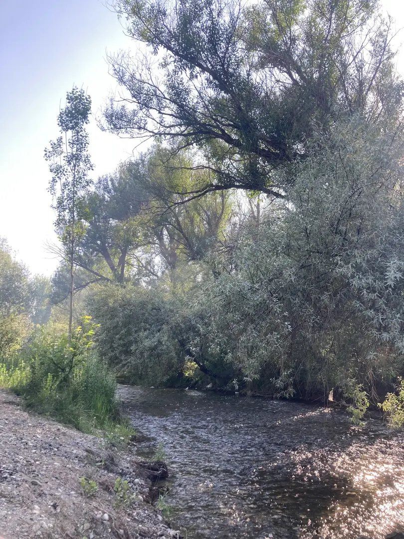 Barsama Mesire Alanı — Kayseri — küçük resim 5
