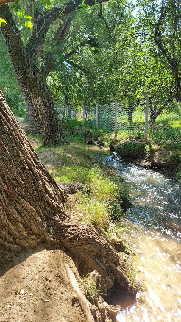 Barsama Mesire Alanı — Kayseri — küçük resim 9
