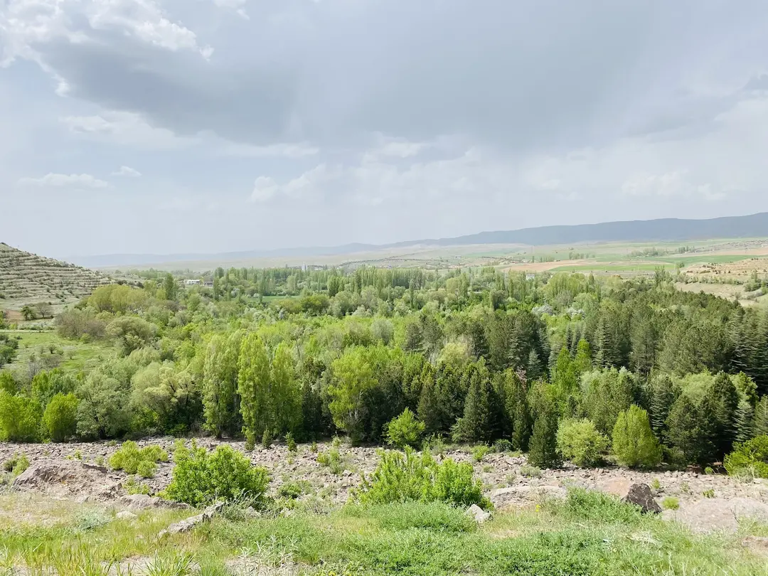 Sarimsaklı Mesire Alanı — Kayseri — küçük resim 6