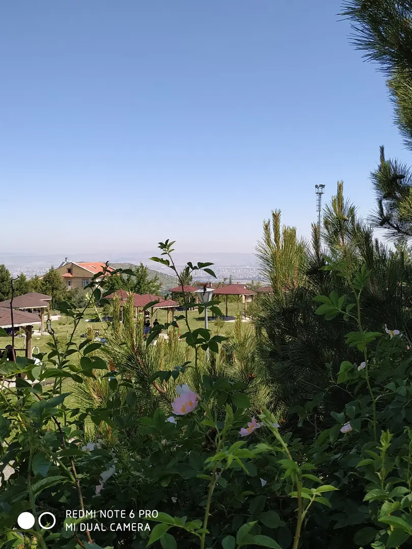 Area Ricreativa Hisarcık — Kayseri — küçük resim 5