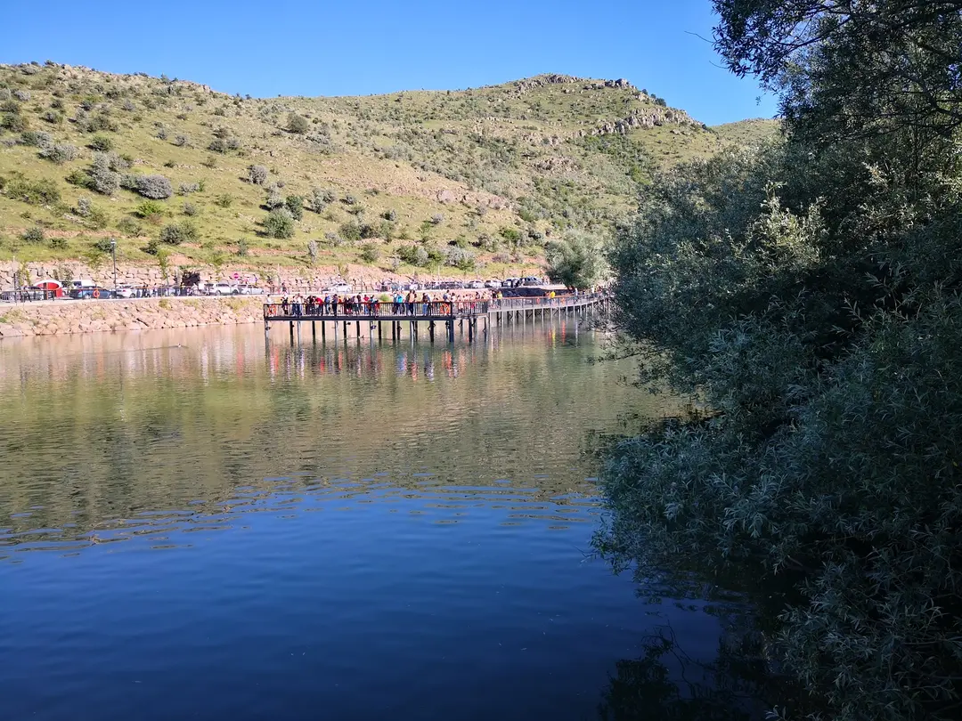 Talas