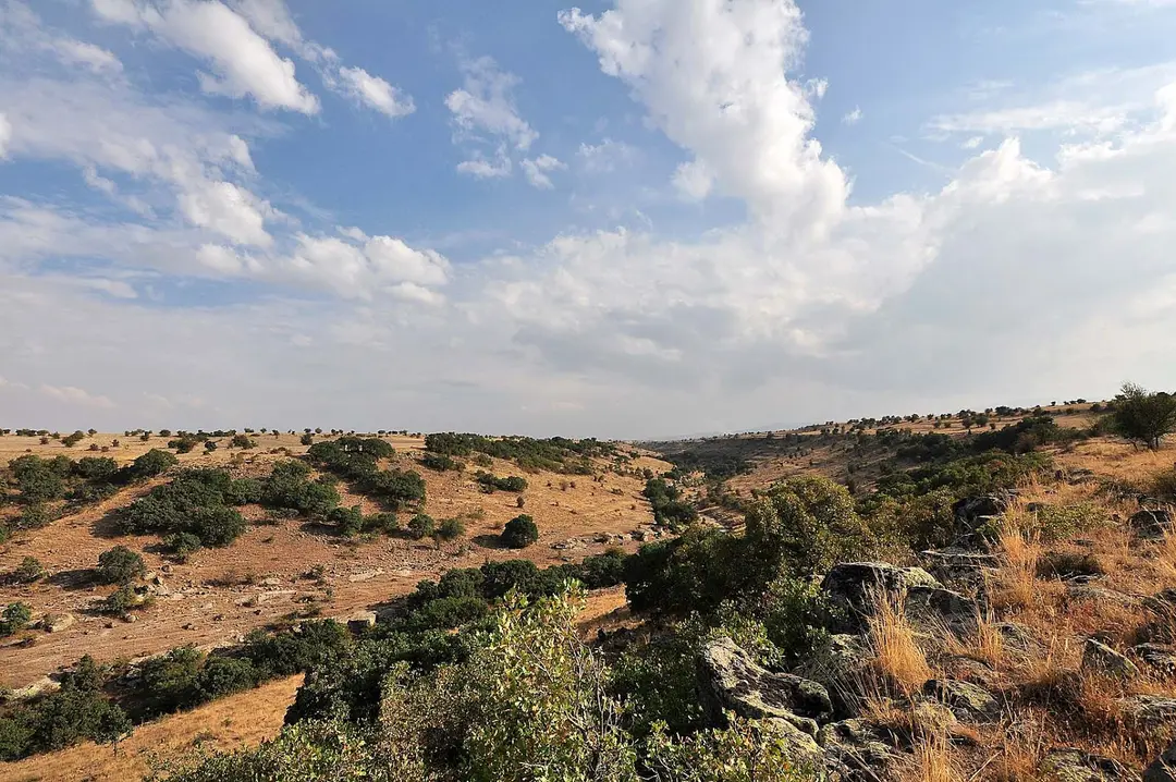 Evliyalar Mesire Alanı — Kayseri — küçük resim 2