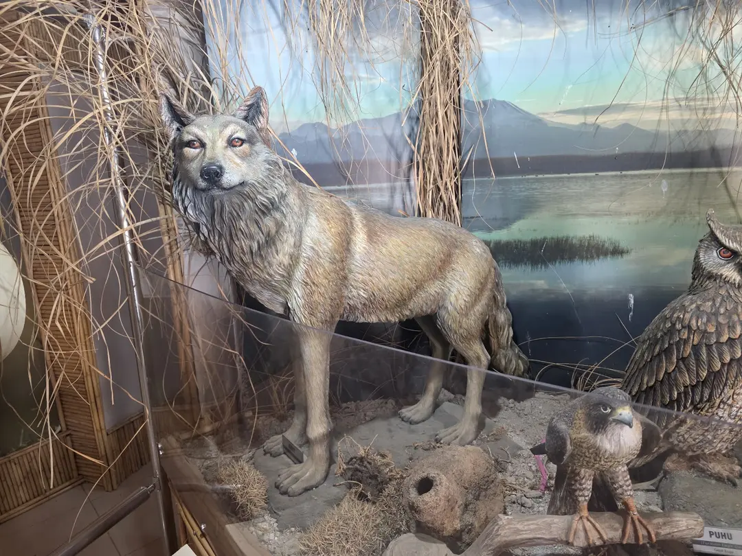 Sultansazlığı National Park — Kayseri — küçük resim 4
