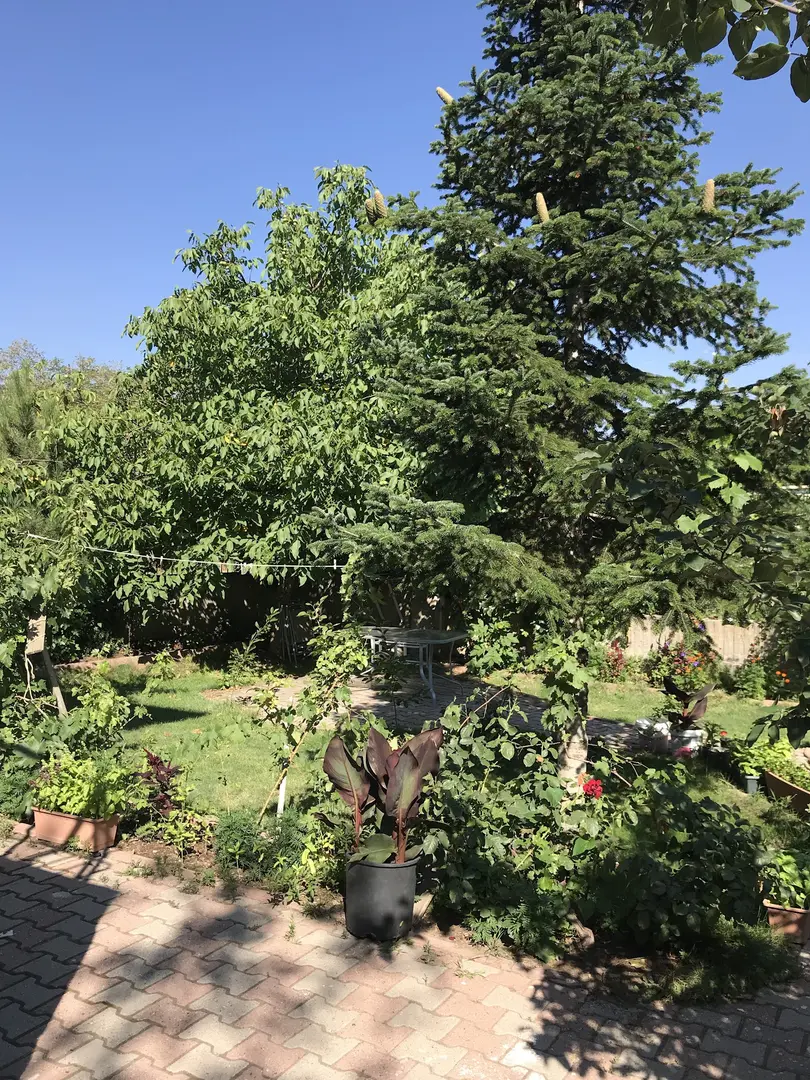 Akşehirlioğlu Bağ Evi — Kayseri — küçük resim 3