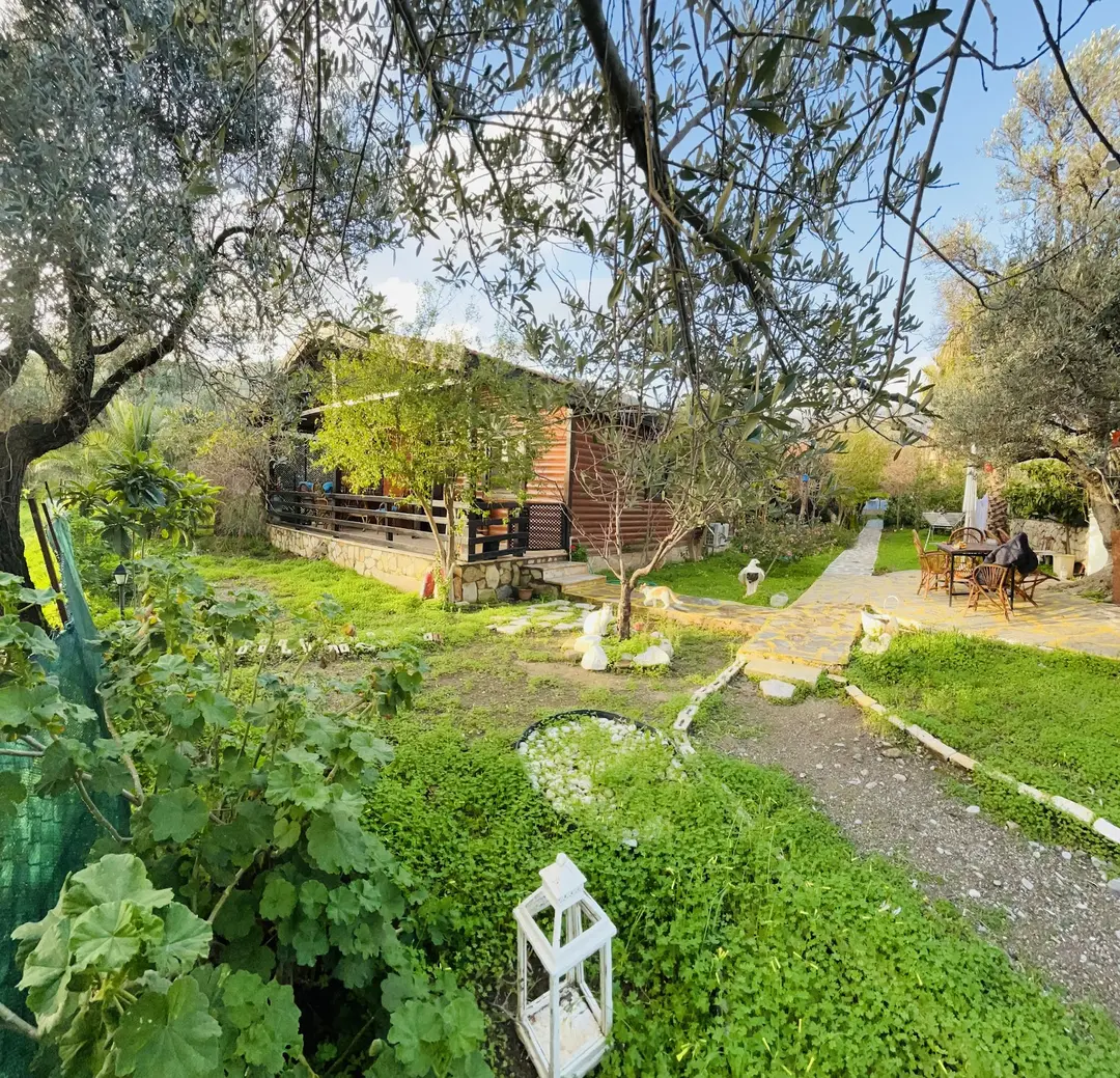 Ovabükü Ahşap Evler — Muğla — küçük resim 4