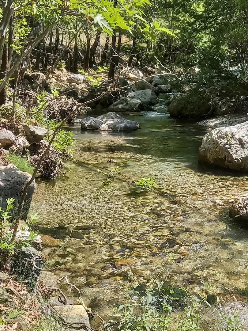 Skovhytte — Kayseri — küçük resim 6