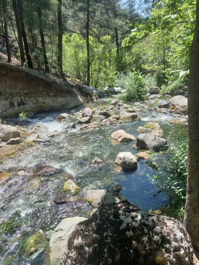 Skovhytte — Kayseri — küçük resim 3