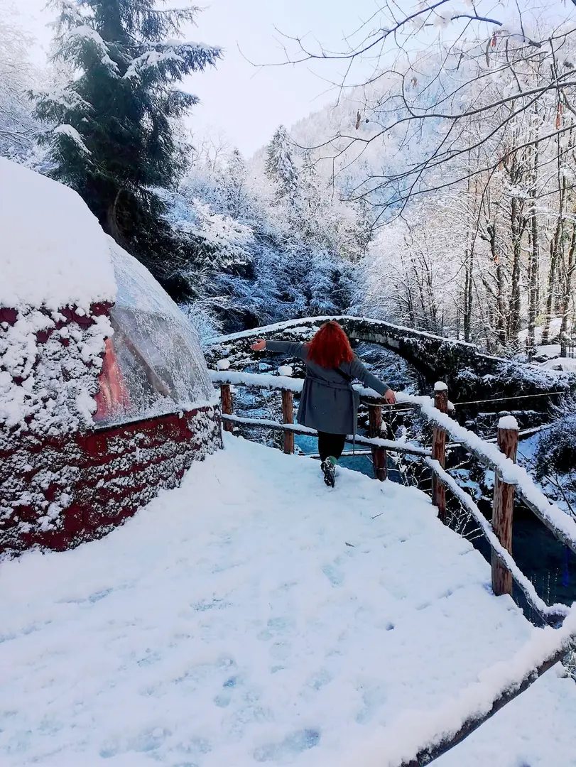 SİYA dome glamping — Rize — küçük resim 8