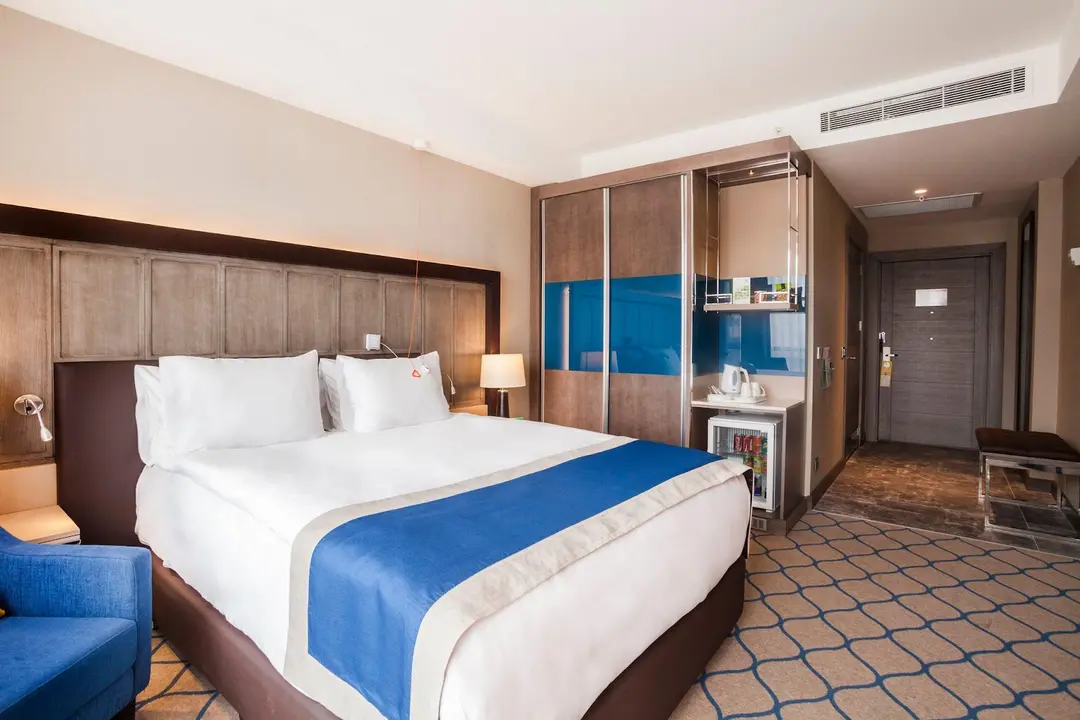 Holiday Inn Kayseri-Düvenönü — Kayseri — küçük resim 2